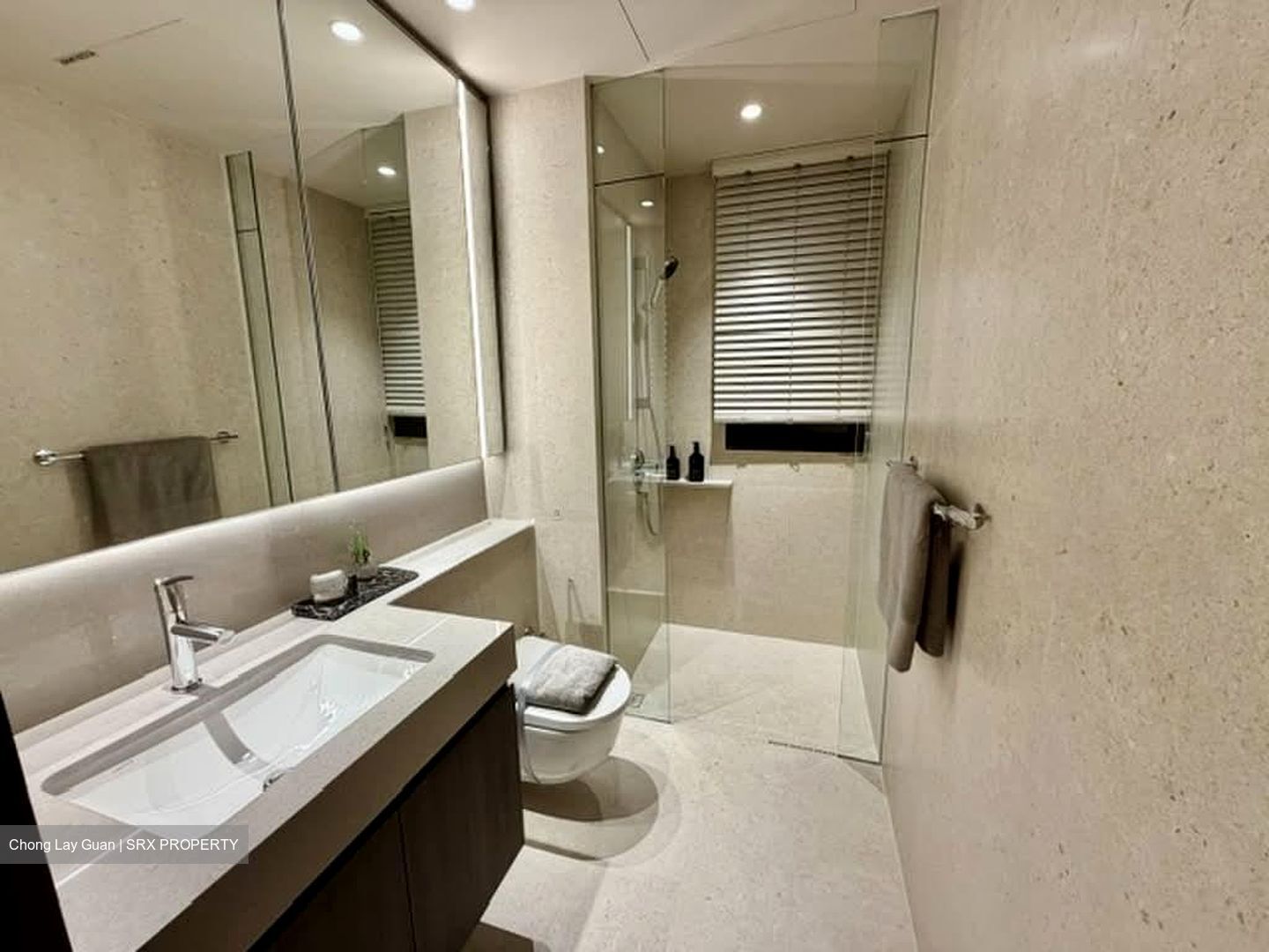 Hudson Place Residences (U/C) (D5), Apartment #574467301